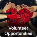 Volunteer Opportunities